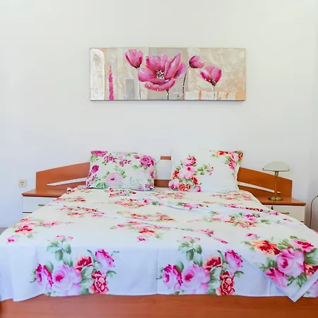 Family House Katerini 3* 네세부르